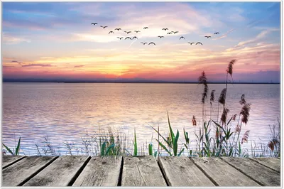 Produktbild von Wallario Wandbild Seepanorama mit Schilf und fliegenden Vögeln, Größe: 61 x 91,50 cm, Poster mit weißem Aluminiumrahmen