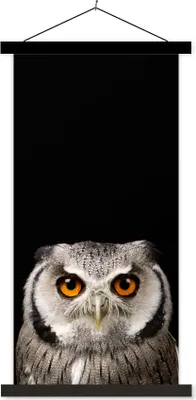 Produktbild von MuchoWow® Textilposter Porträt Eule 40x80 cm mit schwarzem Rahmen - Wandemalerei