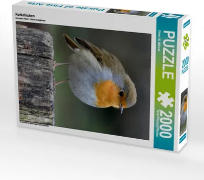 Produktbild von CALVENDO Puzzle Rotkehlchen 2000 Teile Puzzle hoch | 2000 Teile Lege-Größe 90x67cm Foto-Puzzle für glückliche Stunden