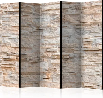 Produktbild von 5-teiliger Einseitiger Vlies Paravent - Stony Gracefulness II 225x172 cm Muster f-B-0018-z-c