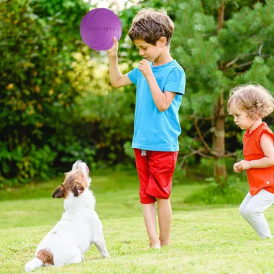 Produktbild von 4 Stück Hundescheibe - natürliches Gummi - Hundes Frisbees - Hundespielzeug Frisbee - fliegende Scheibe für Haustiere - perfekt für Hundetraining - werfen - fangen - spielen (orange - rot - grün - lila)