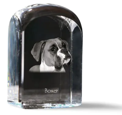 Immagine prodotto di Boxer I - cubo di cristallo con fotografia, fotografia di cane in cristallo, pulsante cubico su carta del marchio Art-Dog