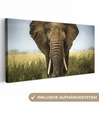Produktbild von MuchoWow® - Leinwandbilder - Elefant - Natur - Gras - Tiere - Landschaft, Wandbild, Wanddeko Bilder Wohnzimmer, 80x40 cm