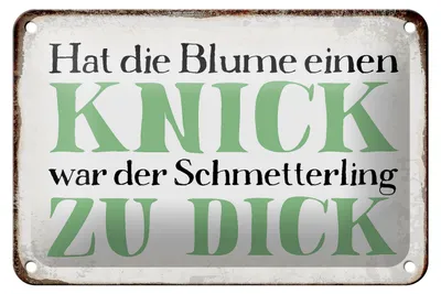 Produktbild von Blechschild Spruch 18x12cm Blume Knick Schmetterling dick
