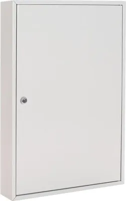Produktbild von Schlüsselschrank S 100 H550xB380xT80mm 1-türig Zylinderschl.Anz.Hak.100 ROTTNER
