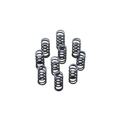 Produktbild von Kupplungsfeder Kupplung Feder SET ORIGINAL (10 Stück) für Zündapp Combinette C ZD CS Hai ZX ZL ZS KS GTS R RS 50