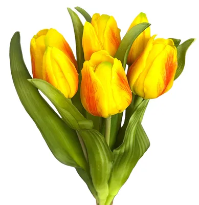 Produktbild von Künstlicher Tulpen-Bund 32cm "Soft-Touch" Kunstblume Tulpe Gelb-Orange