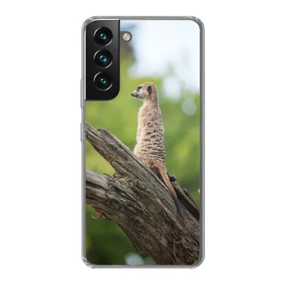 Produktbild von MuchoWow® Handyhülle Schutzhülle Hülle für Samsung Galaxy S22 Erdmännchen - Ast - Baum Silikon Softcase Handy Hülle - Mobiltelefonhülle