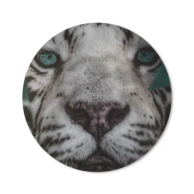 Produktbild von MuchoWow® Mauspad Mousepad Dschungel - Tiger - Schwarz - Weiß 20x20 cm - Mousepads - Maus Mat - Pad - Mausunterlage - Schreibtischmatte