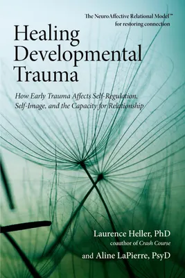 Produktbild von Healing Developmental Trauma