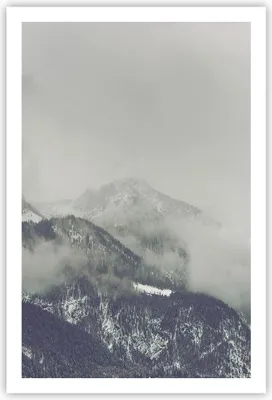 Produktbild von Poster - Poster ohne Rahmen - Berge Wald Nebel - 61x91,5 cm - Wand Bild - Wanddeko - Wandbilder - Kunstposter - Wandposter - Bilder - Kunstdruck - Wanddekoration - Wandbild - P2XPA61x91-4270