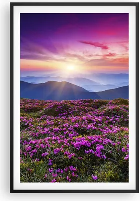 Produktbild von Gerahmtes Poster - Schwarzer Rahmen - Wiese Berg Himmel Landschaft - 61x91,5 cm - Wand Bild - Wanddeko - Wandbilder - Wandposter - Bilderrahmen - Bilder - Kunstdruck - Wandbild - P2BPA61x91-2719