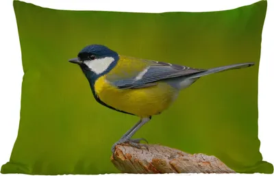 Produktbild von MuchoWow® Outdoor Kissen - Vogel - Kohlmeise - Tiere - Grün - 60x40 cm - Wetterfest - Lounge Kissen - Zierkissen - Kissen für Innenräume