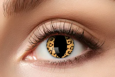 Produktbild von Kontaktlinsen Zoelibat Eyecatcher Leo Cat 12 Monatslinsen ohne Sehstärke Katzenaugen Cosplay