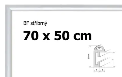 Obrázok produktu pre BFHM Plastový rám na puzzle 70x50 - strieborný