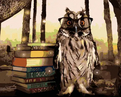 Produktbild von Zuty - Malen nach Zahlen - EULE MIT BÜCHERN, 40x50 cm, ohne Keilrahmen
