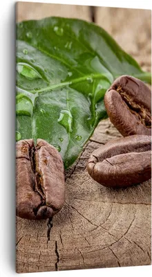 Produktbild von Bild auf Leinwand - Leinwandbild - Aroma Kaffee Pflanze Samen - 45x80cm - Wand Bild - Wanddeko - Leinwanddruck - Bilder - Kunstdruck - Wanddekoration - Leinwand bilder - Wandkunst - PA45x80-2548