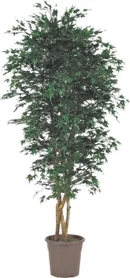 Produktbild von artplants.de Deko Japanischer Ahornbaum KESCHA, Naturstämme, grün, 175cm -  Italy - Kunst Japanischer Ahornbaum