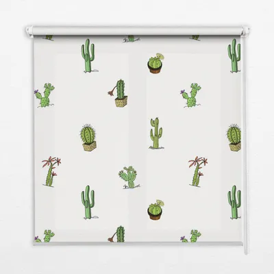 Produktbild von Seitenzug-Rollo Fensterrollo Jalousie - Lichtdurchlässig Springrollos - 130x180 cm - Kakteen