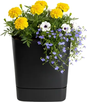 Image de HowHomely | Jardinière - Pot de fleurs avec soucoupe - noir - 30 x 30 cm - en matériau recyclé - Bac à fleurs - Facile d'entretien