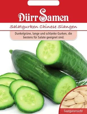 Produktbild von Dürr-Samen - Salatgurken Chinese Slangen - Saatgut - 0117