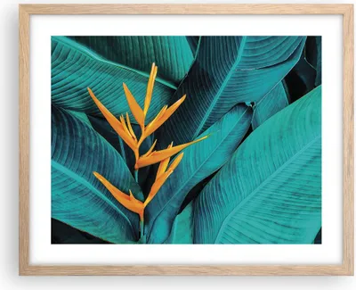 Produktbild von Gerahmtes Poster - Rahmen in heller Eiche - Blumen Tropen Blätter - 50x40 cm - Wand Bild - Wanddeko - Wandbilder - Kunstposter - Wandposter - Bilderrahmen - Bilder - Kunstdruck - P2NAA50x40-5116