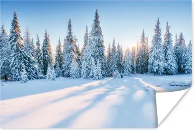Produktbild von MuchoWow® Poster Wald - Schnee - Winter 120x80 cm - Bilder