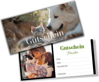Produktbild von itenga Geschenkgutschein Fotodesign - Motiv HAUSTIER Postkarte zum Ausfüllen  21,0 x 9,8 cm