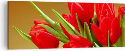 Produktbild von Bild auf Leinwand - Leinwandbild - Tulpen Blumen Feld Plantage - 140x50cm - Wand Bild - Wanddeko - Leinwanddruck - Bilder - Kunstdruck - Wanddekoration - Leinwand bilder - Wandkunst - AB140x50-0962