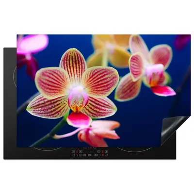 Produktbild von KitchenYeah© Herdabdeckplatte Von Orchidee , 80x52cm, Küche Deko, Glaskeramikkochfeld Herdabdeckung, Abdeckplatte fùr Kochfeld