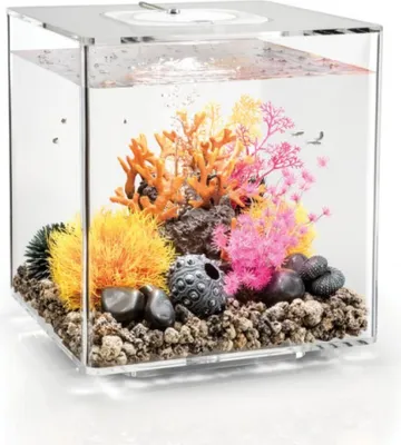 Obrázek produktu pro Akvárium biOrb CUBE 30 LED průhledná