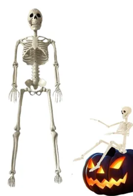 Image de Elzusha - Squelettes d'Halloween avec articulations mobiles, 90 cm