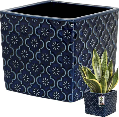 A square ceramic planter with a blue geometric pattern and a snake plant inside.