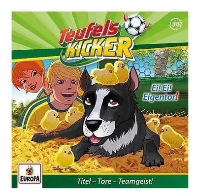 Produktbild von 088/Ei! Ei! Eigentor!