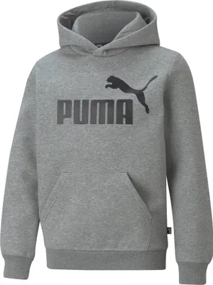 Produktbild von Puma Ess Big Logo Hoodie Fl B     176