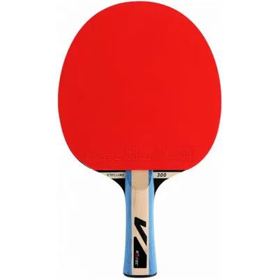 Image de V3Tec 300 Raquettes TT rouge bleu