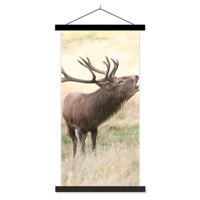 Produktbild von MuchoWow® Textilposter Hirsche - Geweihe - Gras 90x180 cm mit schwarzem Rahmen - Dekoration Wohnzimmer