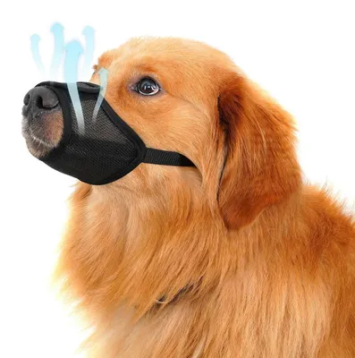 Produktbild von Maulkorb für Hunde atmungsaktiv & trinkbar verstellbar XS