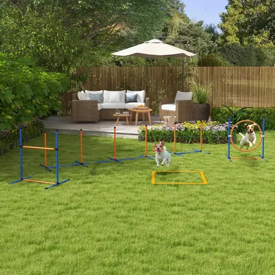 Produktbild von SUGIFT Hundeparcours Trainingshindernisse, Hunde Agility Set, Slalom Hürde Tunnel Reifen, Orange+Blau  |  Tragetasche  |  7-teilig  |  352 x 66 x 69 cm