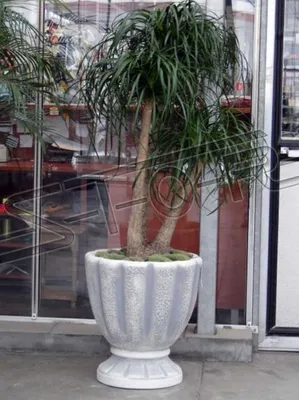 Immagine prodotto di Fioriera vaso fioriera XXL cemento giardino terrazza scultura S104046