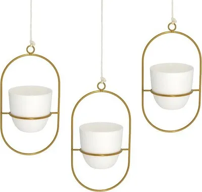Image de Pots suspendus pour l'intérieur et l'extérieur - Décoration pour plantes d'intérieur, plantes succulentes, plantes aériennes et cactus
