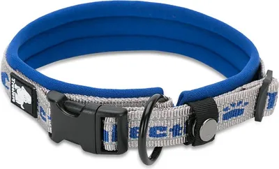 Produktbild von TrueLove Nylon Halsband mit Neopren unterlegt grau/blau, Größe: XS
