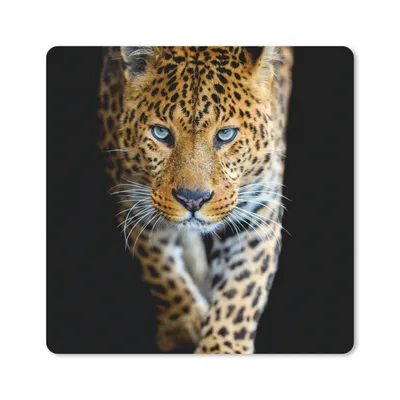 Produktbild von MuchoWow® Mauspad Mousepad Leopard - Tiere - Porträt - Wildtiere - Schwarz 30x30 cm - Mousepads - Maus Mat - Pad - Mausunterlage - Gaming