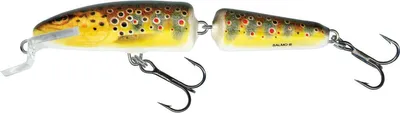Produktbild von Salmo Fanatic Floating Trout 7 cm Wobbler
