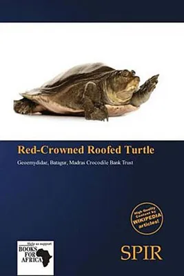 Produktbild von Red-Crowned Roofed Turtle