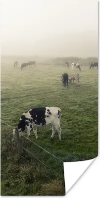 Produktbild von MuchoWow® Poster Kühe - Nebel - Friesland 20x40 cm - Plakat - Foto