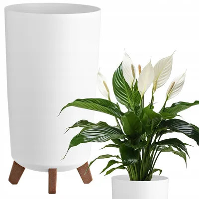 Produktbild von Prosperplast Blumentopf | Gracia Tubus Slim | Weiß | 20 cm