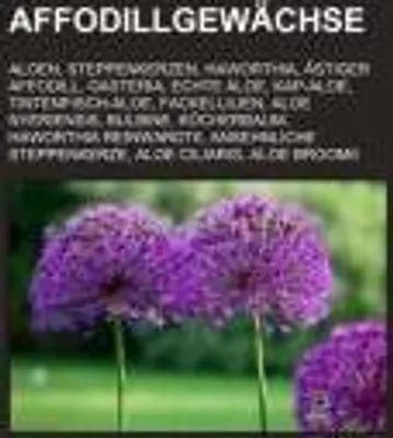 Produktbild von Affodillgewächse