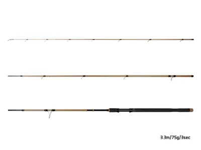 Image de Delphin LEGIA CarpMATCH Canne à pêche 3,3 m 75 g