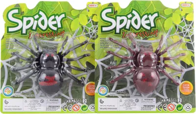 Image de Araignée rétractable